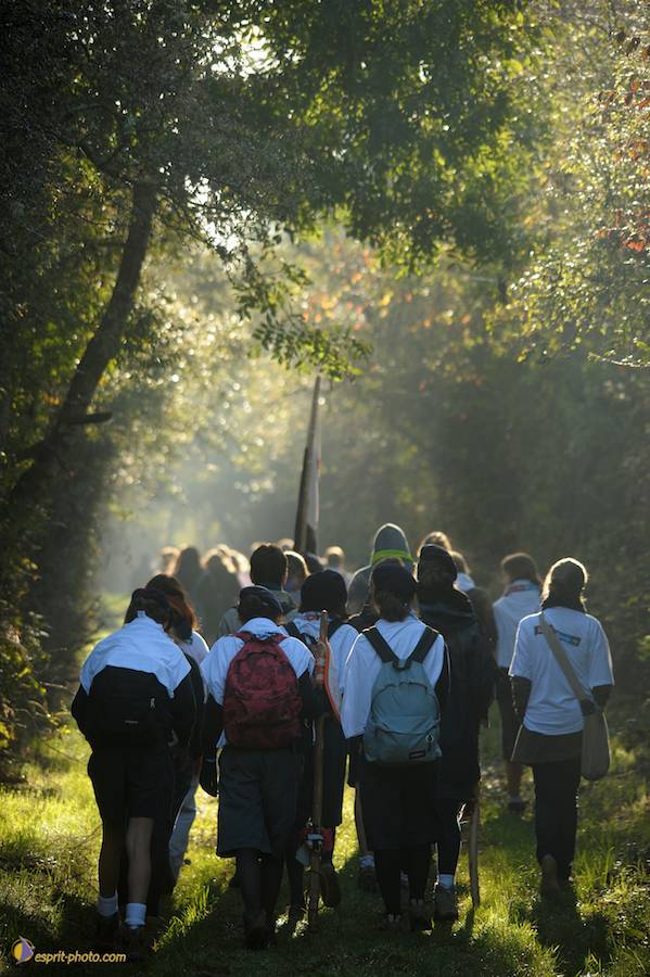 Nom de l'image : D30082996_1_(c)Norbert-JUNG — Description :